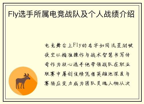 Fly选手所属电竞战队及个人战绩介绍